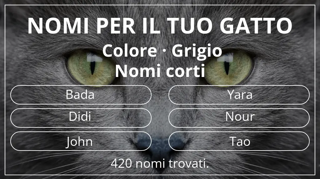 Nomi per gatti ispirati a colore grigio e lunghezza del nome breve (2–4)