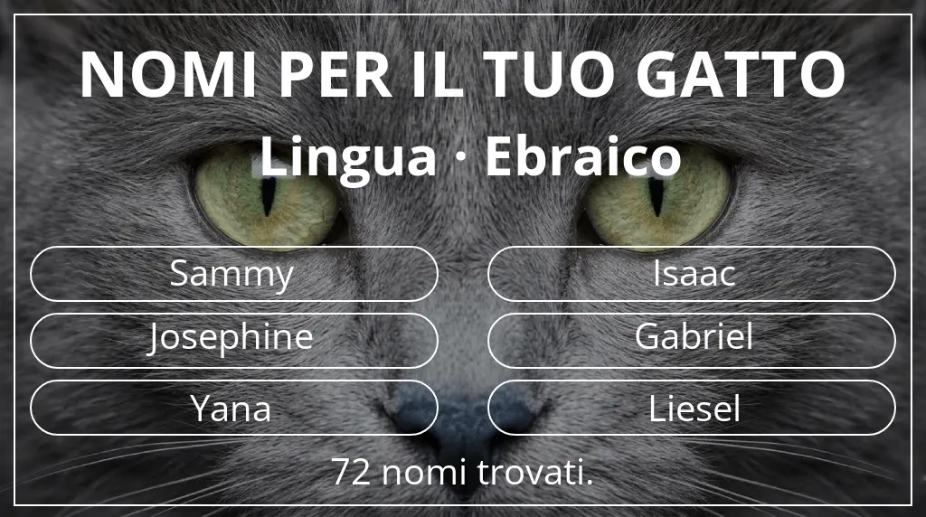 Nomi felini basati su lingua ebraico