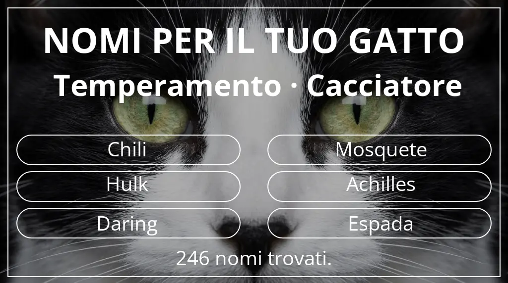 Nomi per gatti ispirati a temperamento cacciatore