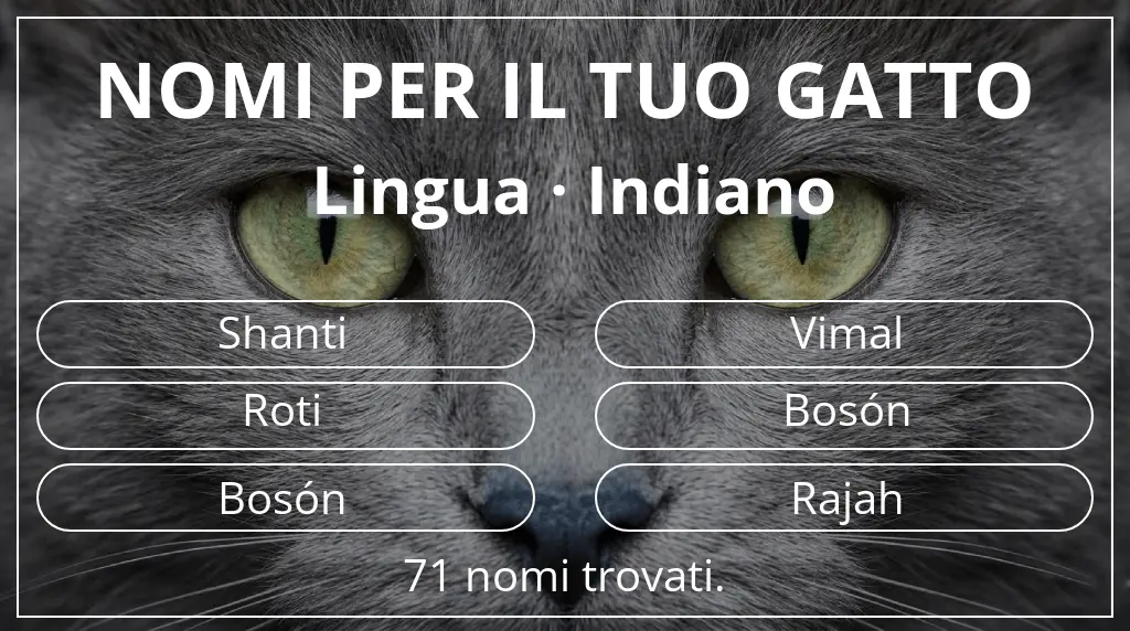 Nomi per gatti basati su lingua indiano