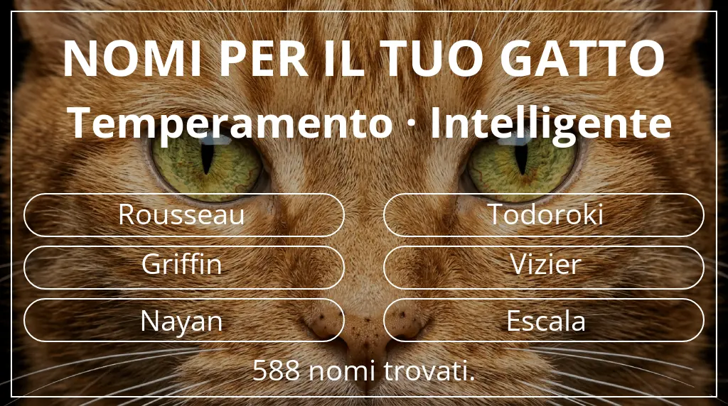 Nomi per il tuo gatto basati su temperamento intelligente