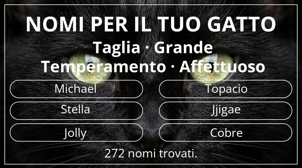 Nomi per il tuo gatto ispirati a taglia grande e temperamento affettuoso