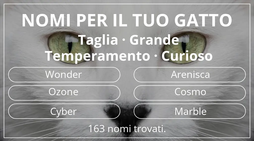 Nomi per il tuo gatto basati su taglia grande e temperamento curioso