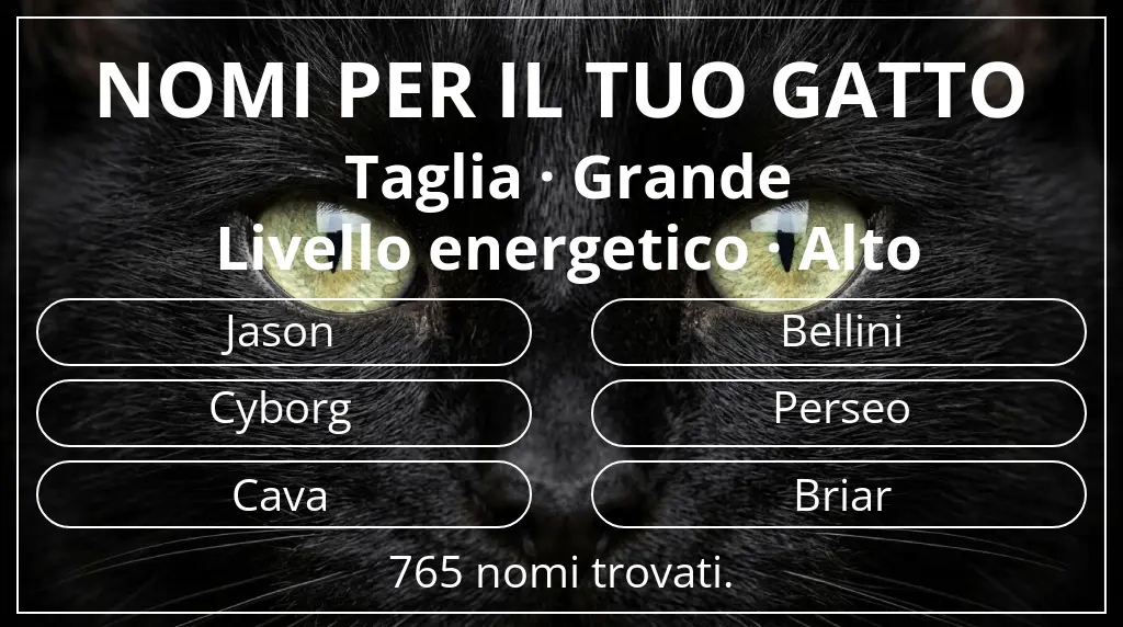Nomi per gatti basati su taglia grande e livello energetico alto