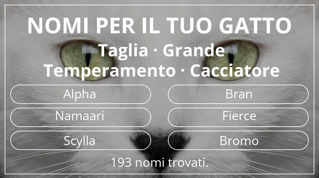 Nomi per gatti basati su taglia grande e temperamento cacciatore