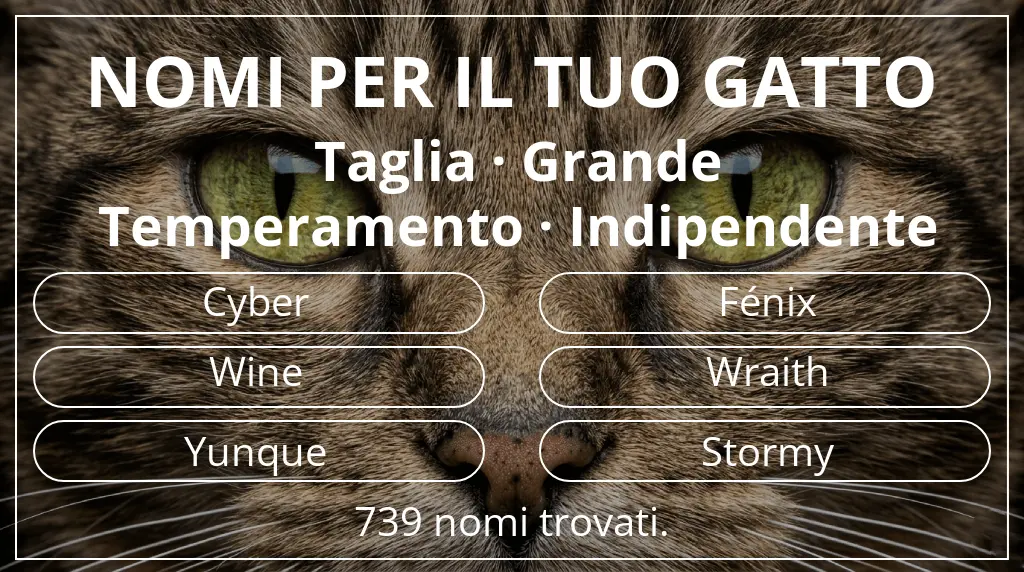 Nomi felini ispirati a taglia grande e temperamento indipendente