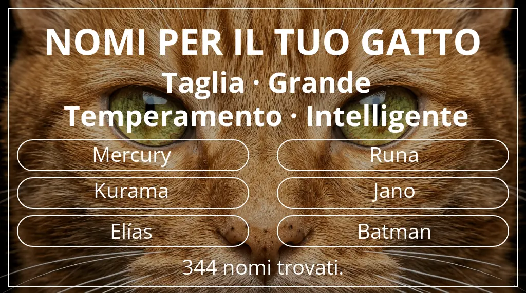 Nomi felini ispirati a taglia grande e temperamento intelligente
