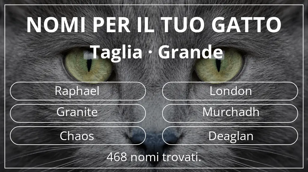 Nomi per gatti legati a taglia grande