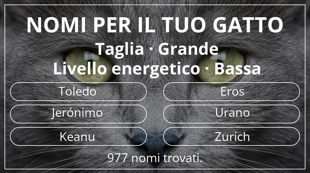 Nomi felini legati a taglia grande e livello energetico bassa