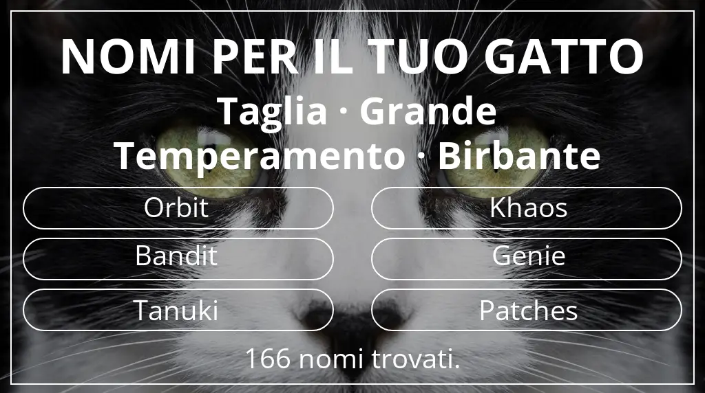 Nomi per il tuo gatto ispirati a taglia grande e temperamento birbante