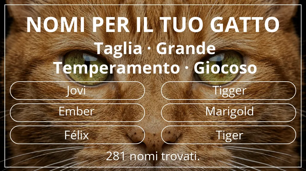 Nomi per gatti basati su taglia grande e temperamento giocoso