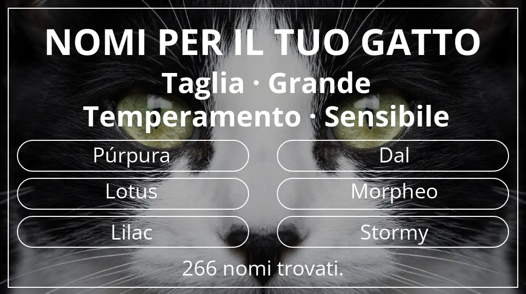 Nomi felini legati a taglia grande e temperamento sensibile