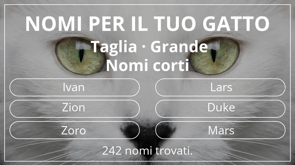 Nomi per il tuo gatto basati su taglia grande e lunghezza del nome breve (2–4)