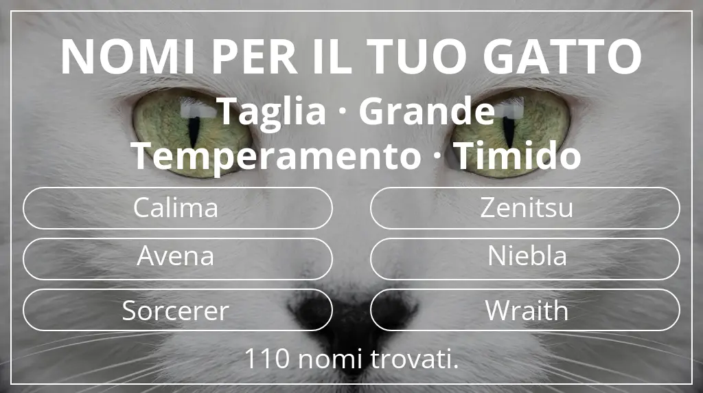 Nomi felini ispirati a taglia grande e temperamento timido