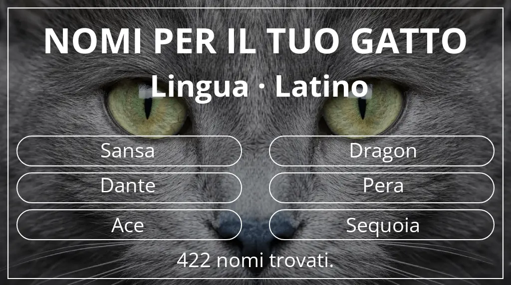 Nomi per gatti legati a lingua latino