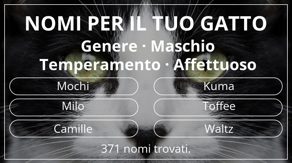 Nomi per gatti basati su genere maschio e temperamento affettuoso