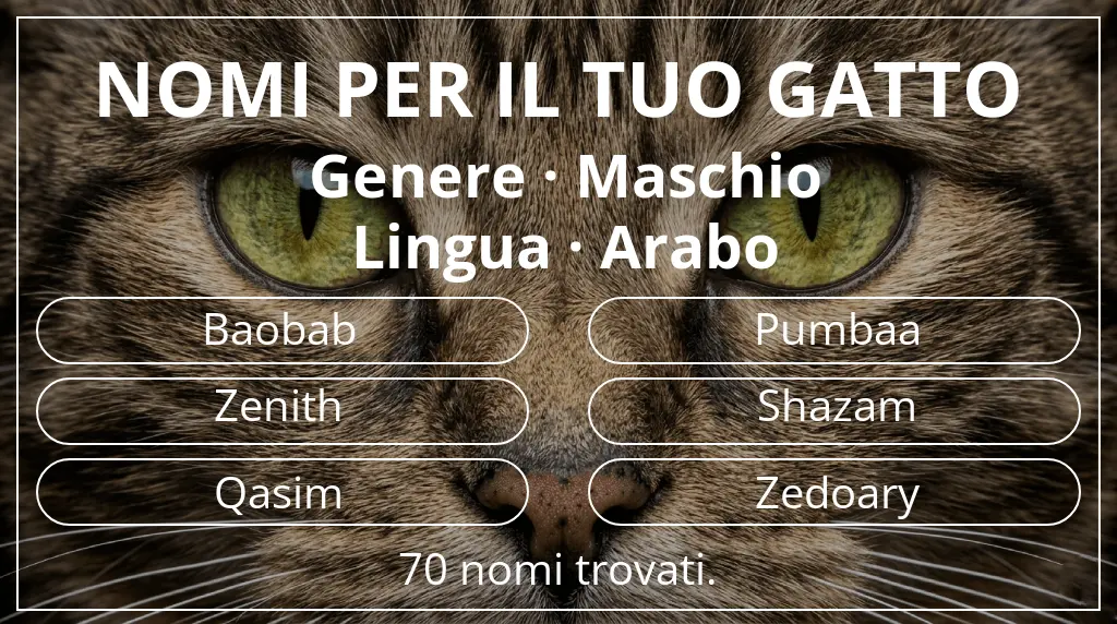 Nomi per gatti basati su genere maschio e lingua arabo