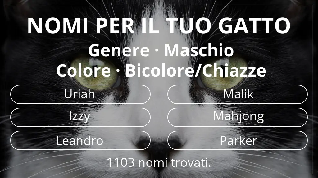 Nomi felini basati su genere maschio e colore bicolore/chiazze