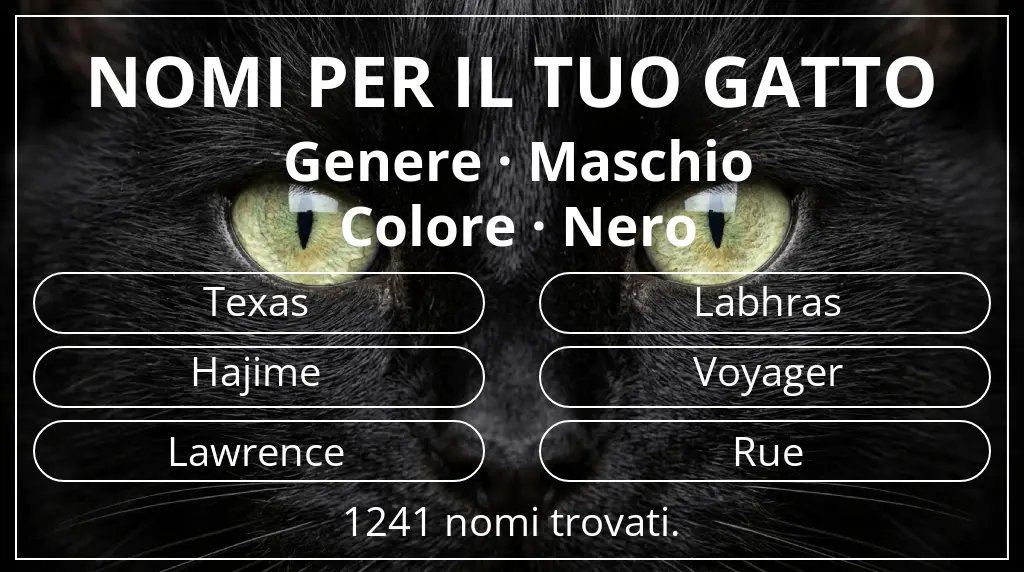 Nomi per gatti legati a genere maschio e colore nero