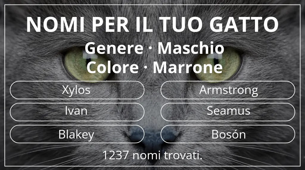 Nomi per gatti ispirati a genere maschio e colore marrone