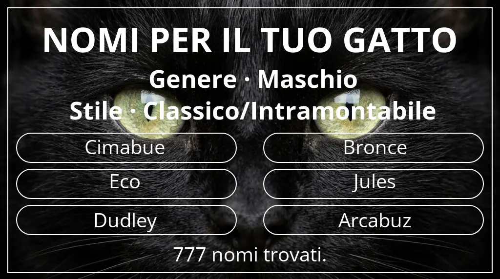 Nomi per il tuo gatto ispirati a genere maschio e stile classico/intramontabile