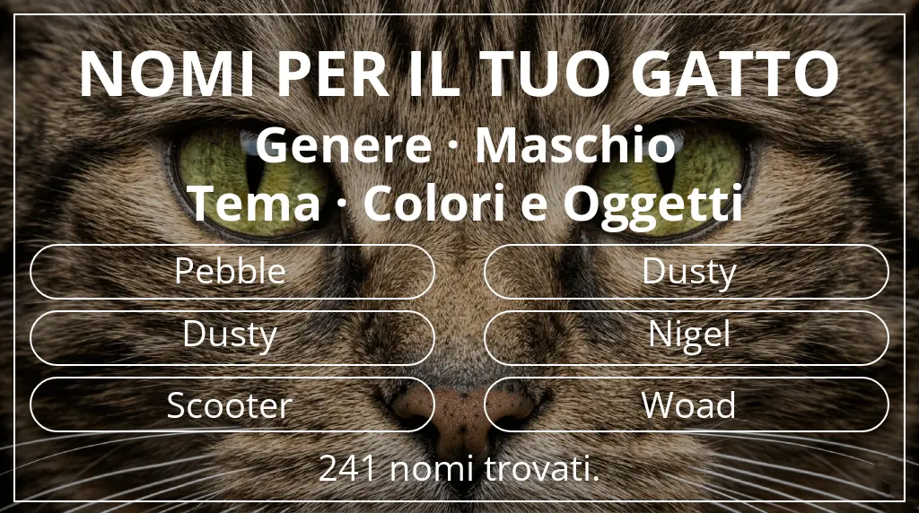 Nomi felini legati a genere maschio e tema colori e oggetti