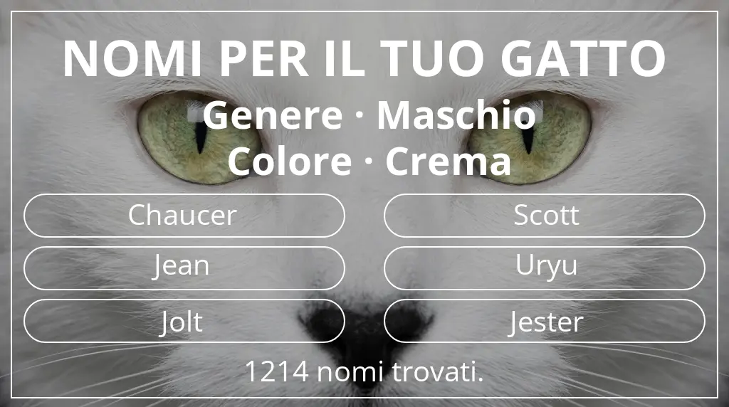Nomi per gatti ispirati a genere maschio e colore crema