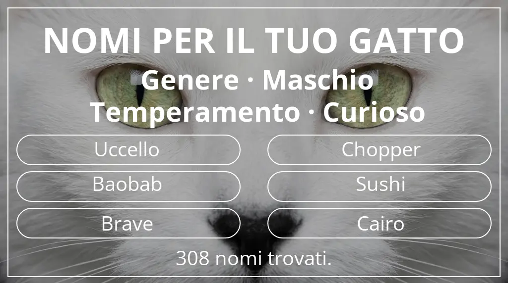 Nomi per il tuo gatto basati su genere maschio e temperamento curioso
