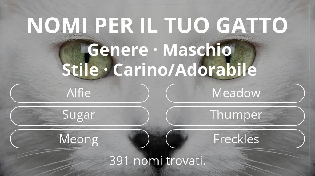 Nomi felini ispirati a genere maschio e stile carino/adorabile