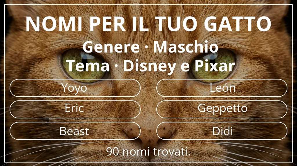 Nomi per gatti legati a genere maschio e tema disney e pixar