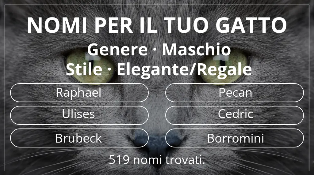 Nomi per il tuo gatto ispirati a genere maschio e stile elegante/regale