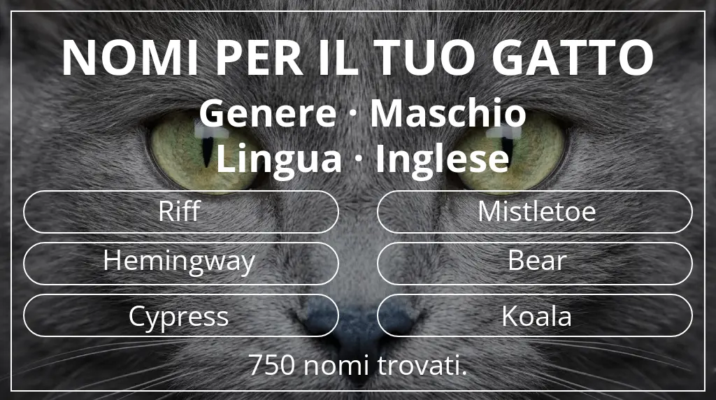 Nomi felini basati su genere maschio e lingua inglese