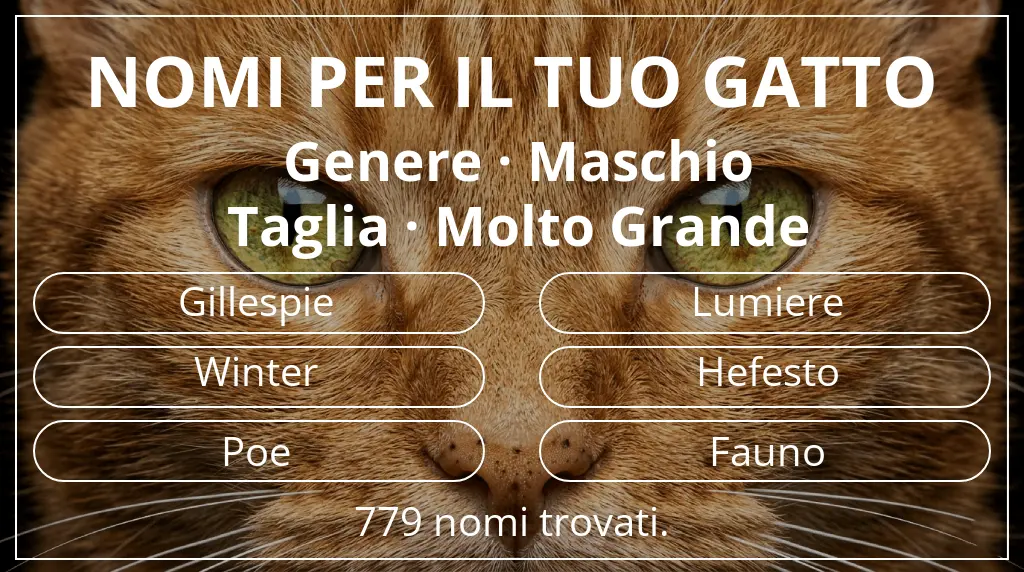 Nomi per gatti legati a genere maschio e taglia molto grande