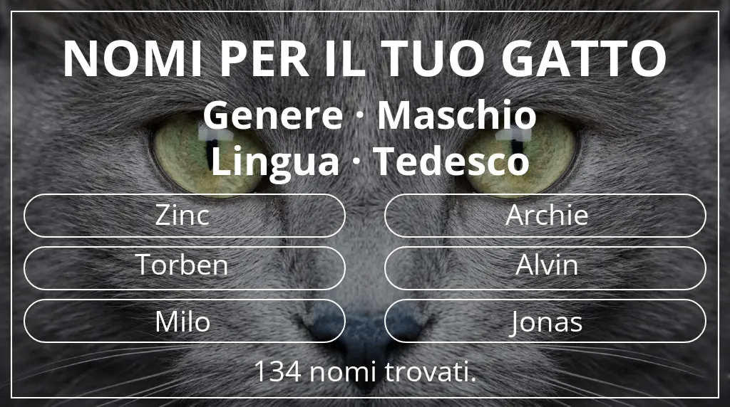 Nomi per il tuo gatto basati su genere maschio e lingua tedesco