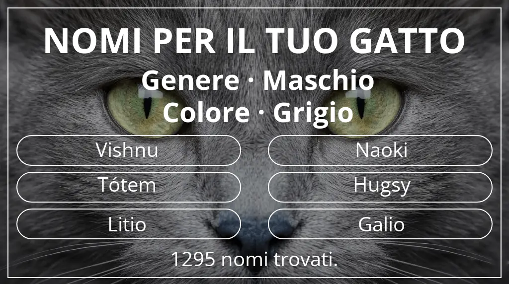 Nomi felini legati a genere maschio e colore grigio