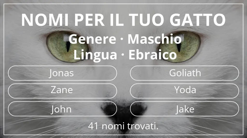 Nomi felini ispirati a genere maschio e lingua ebraico