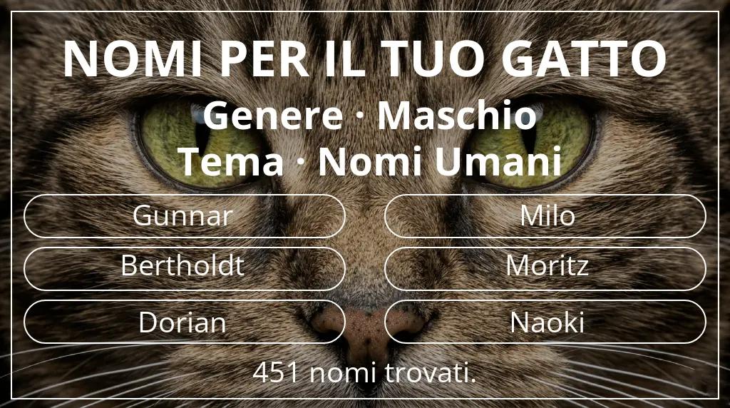 Nomi per gatti legati a genere maschio e tema nomi umani
