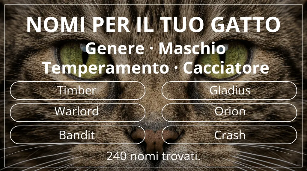 Nomi per gatti ispirati a genere maschio e temperamento cacciatore