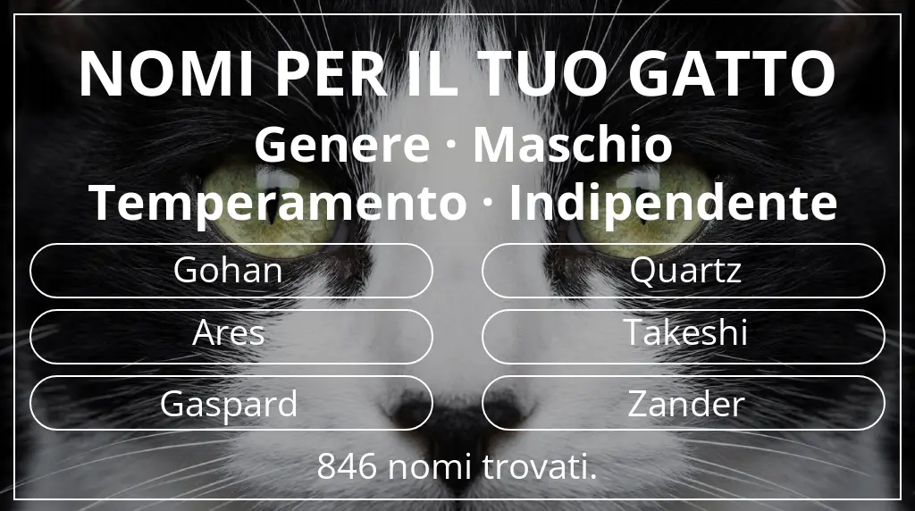 Nomi felini ispirati a genere maschio e temperamento indipendente