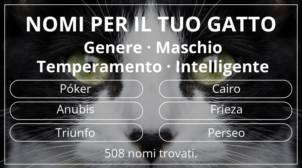Nomi per il tuo gatto ispirati a genere maschio e temperamento intelligente