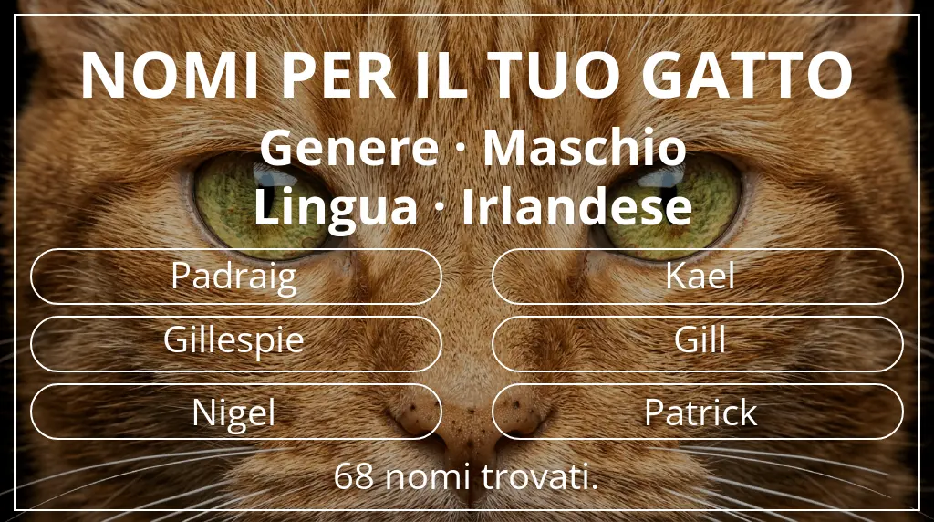 Nomi felini basati su genere maschio e lingua irlandese