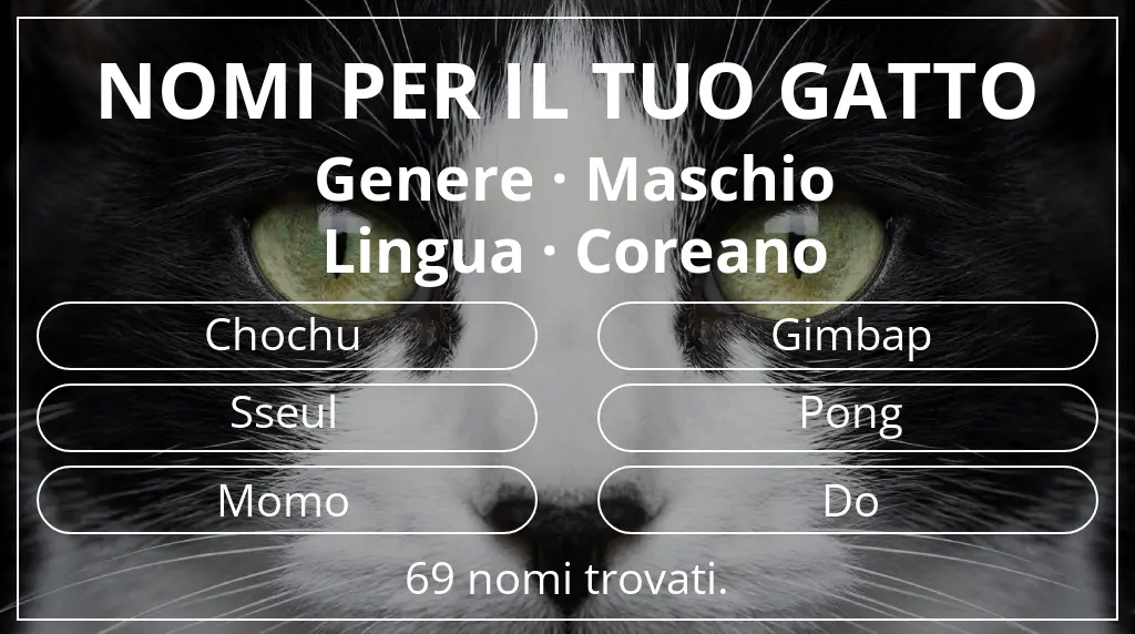 Nomi per gatti ispirati a genere maschio e lingua coreano