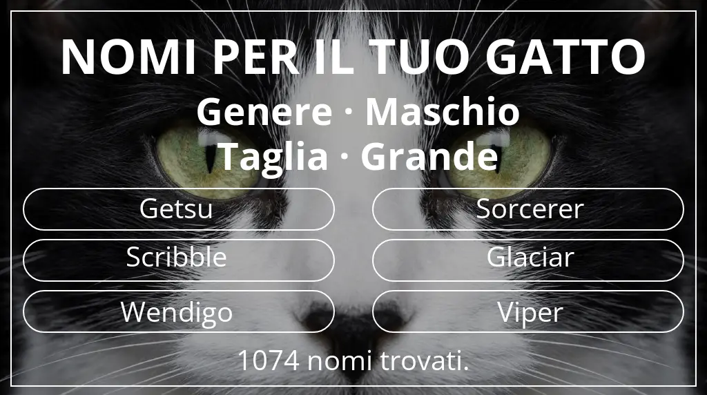 Nomi per il tuo gatto ispirati a genere maschio e taglia grande
