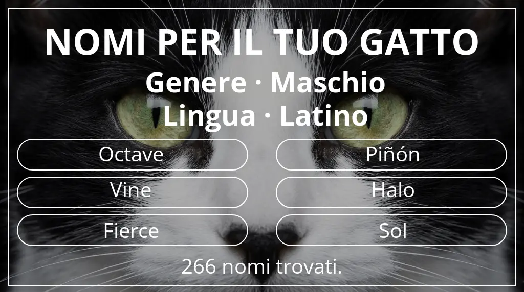 Nomi felini legati a genere maschio e lingua latino