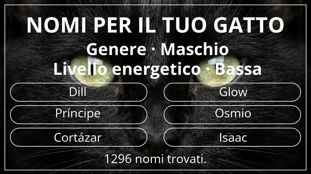 Nomi per gatti basati su genere maschio e livello energetico bassa