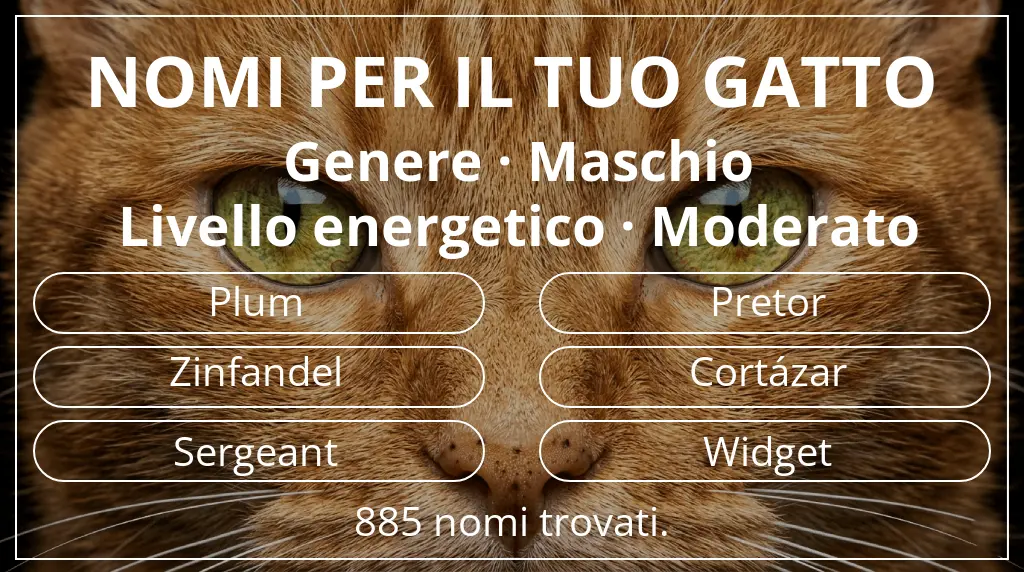 Nomi per gatti basati su genere maschio e livello energetico moderato