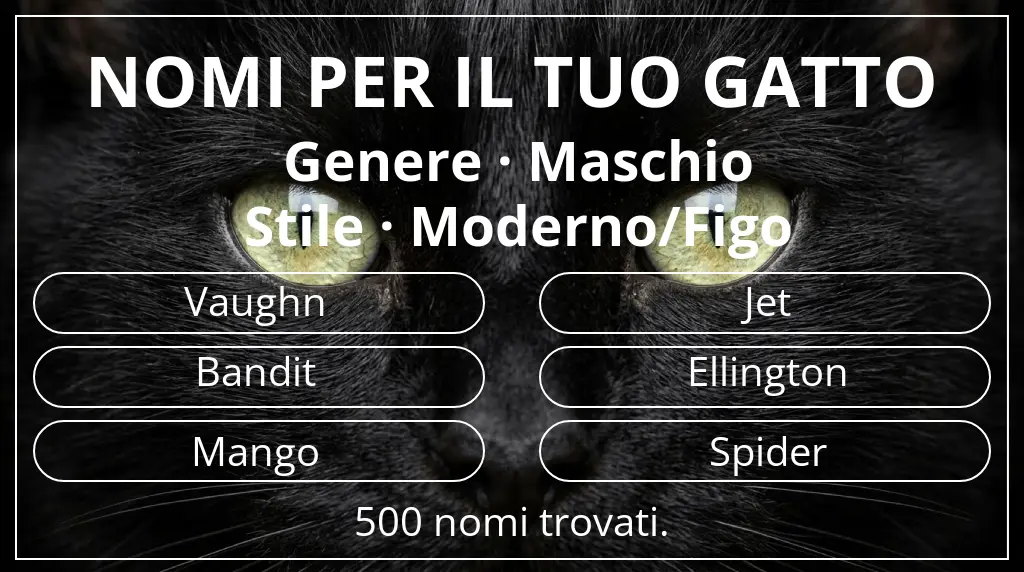 Nomi per il tuo gatto basati su genere maschio e stile moderno/figo