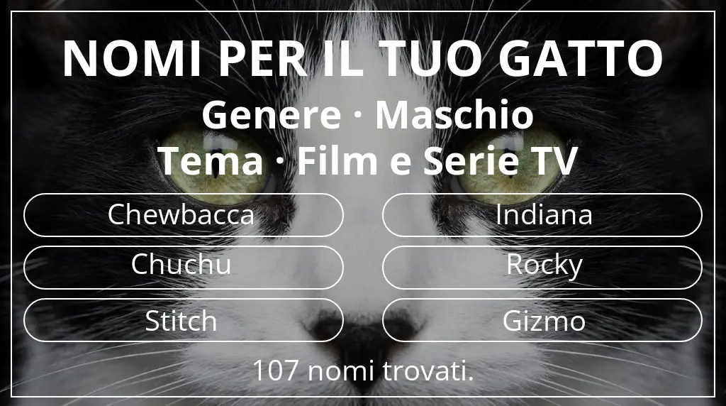 Nomi per gatti legati a genere maschio e tema film e serie tv