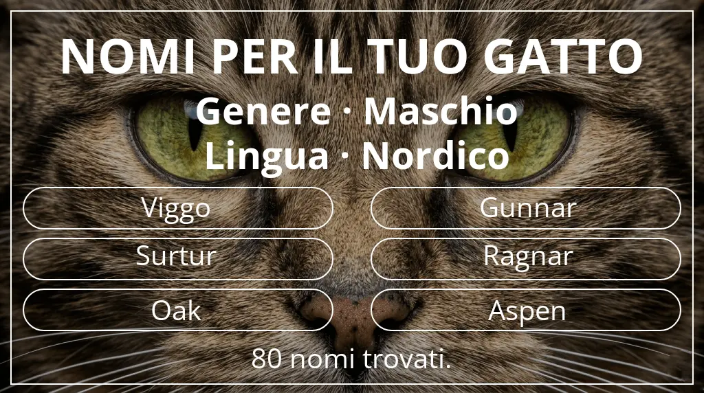Nomi per il tuo gatto ispirati a genere maschio e lingua nordico