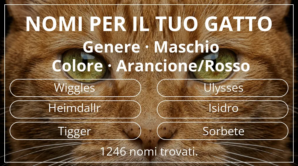Nomi felini basati su genere maschio e colore arancione/rosso